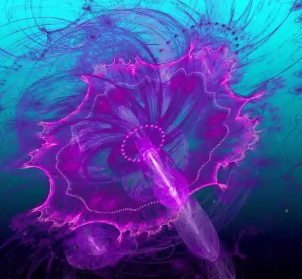 ˮĸͺˮһ